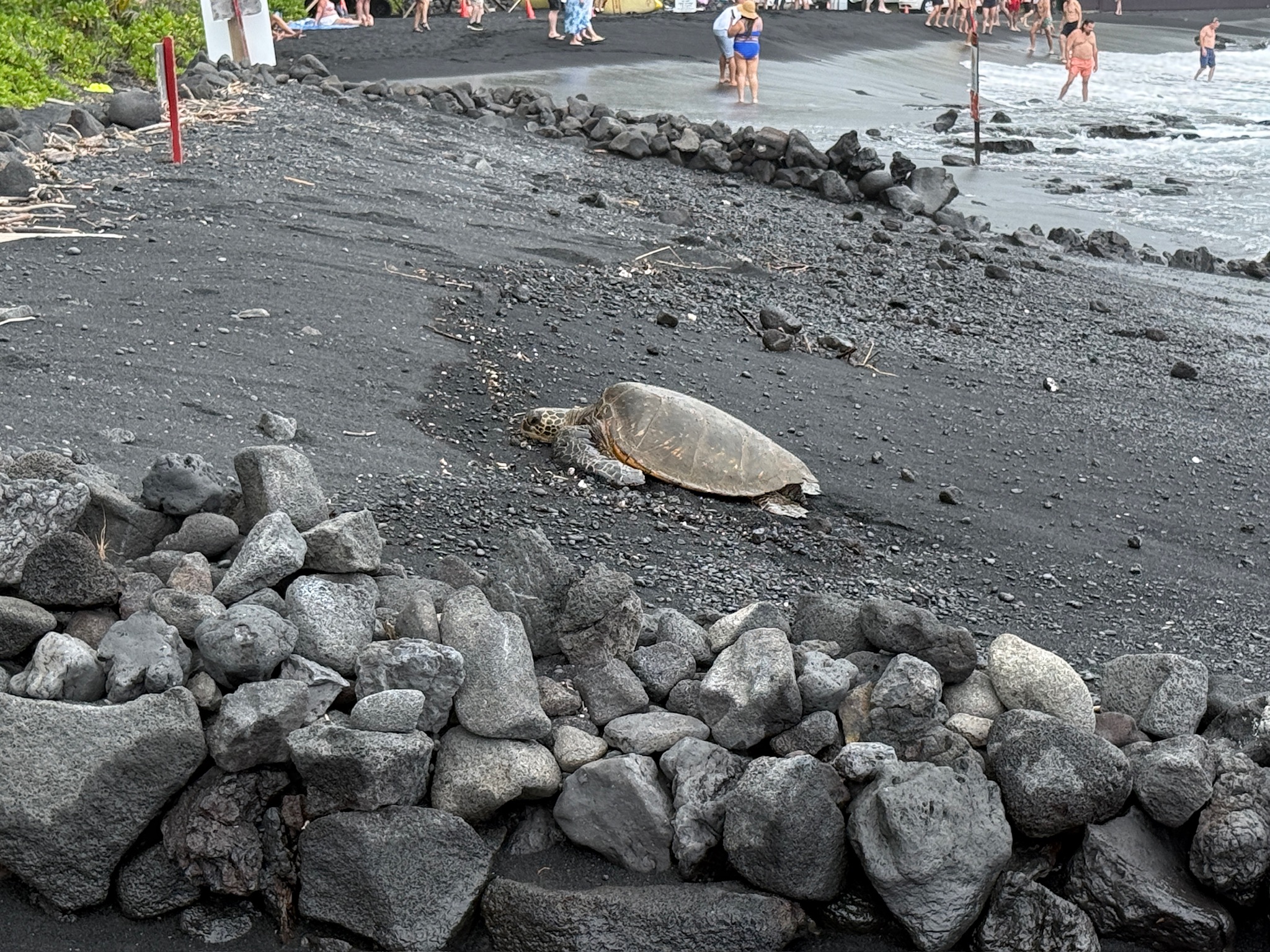 Black Sand Beach